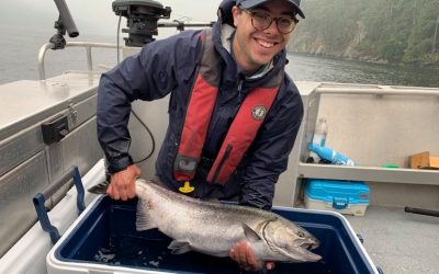 Investigation of Salish Sea biogeography from adult Chinook salmon diets