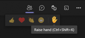 raise hand icon screenshot