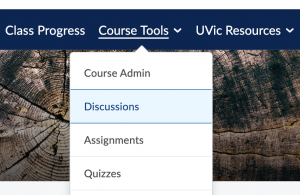 Discussions tool selected in Course Tools menu.