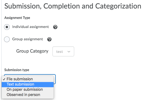 screenshot of assignment submission type