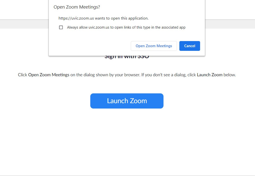 Select "Open Zoom Meetings" from the prompt. If the prompt does not appear, first click "Launch Zoom".