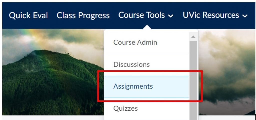 A picture showing where to locate the Assignment Tools in Brightspace