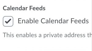 Click the box to Enable Calendar Feeds.