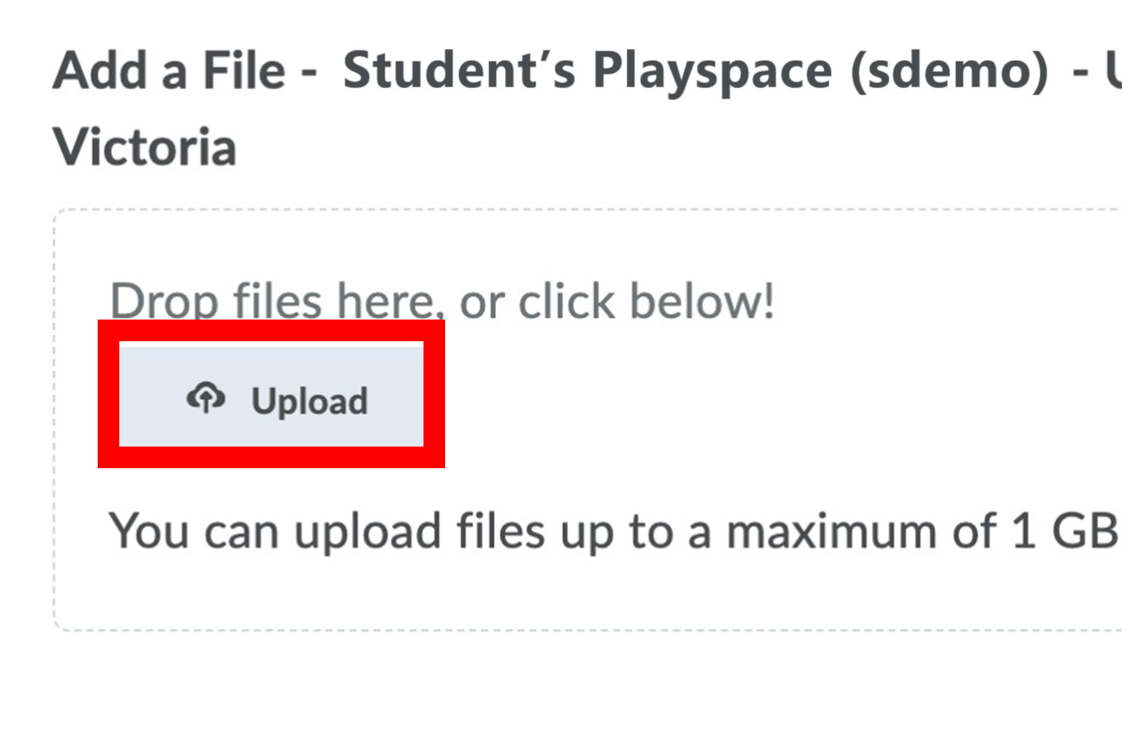 Screenshot of the file upload button
