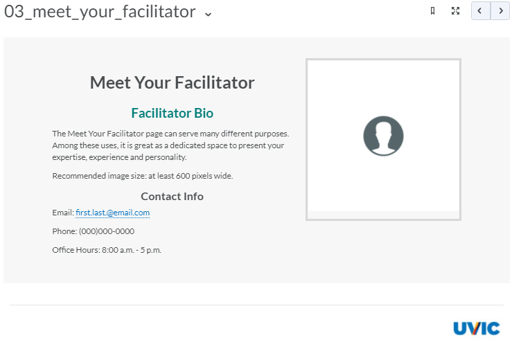 Screenshot of saved view of the 03_meet_your_facilitator template.