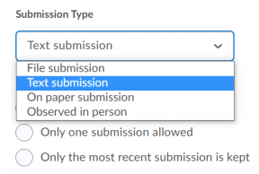 Submission type setting in Brightspace Assignment Tool