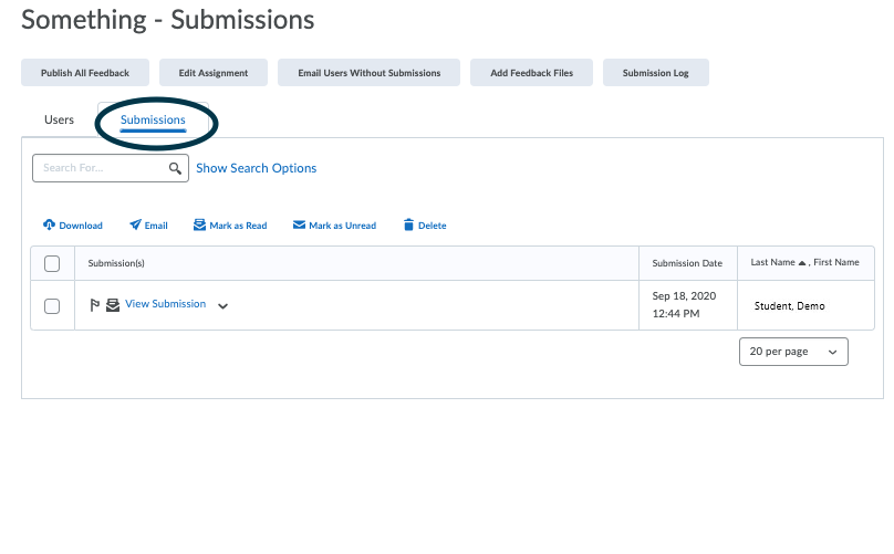 Submissions tab in assignments tool