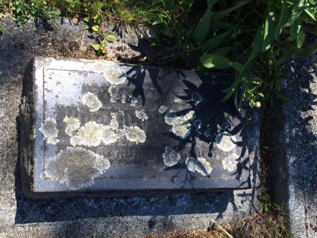 Lichen covered gravestone at the Jewish cemetery. Photo: E. McGuire