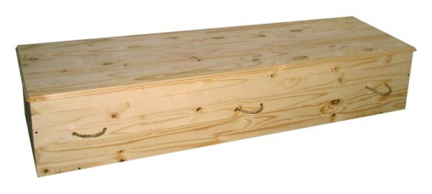 An example of a traditional Aron, or casket