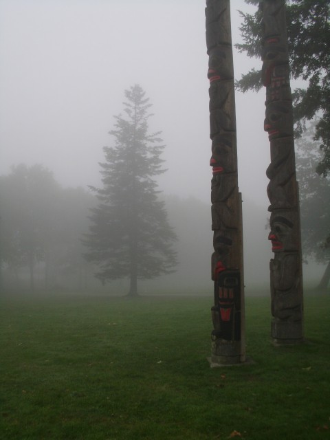 Foggy UVIC Morning