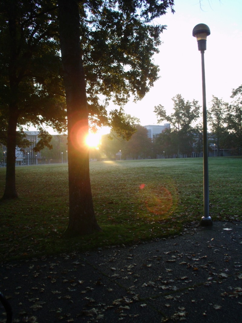 Sunrise at UVic II