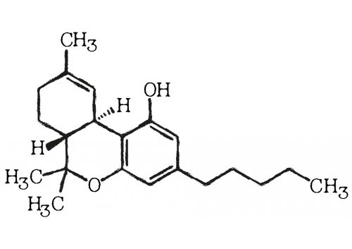 A drawing of a THC molecule