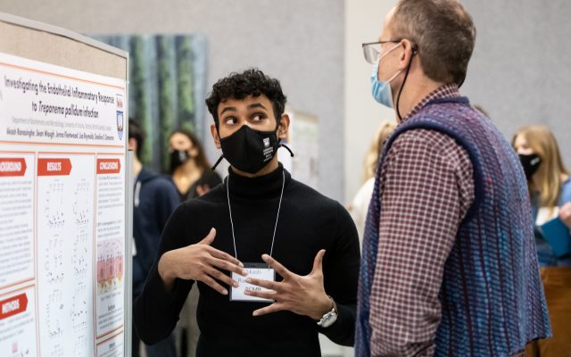 Male student presents research at Honours Fest
