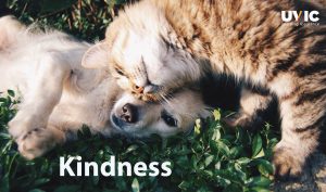 kindness