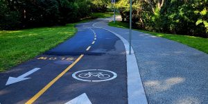 Bike path showing arrows of different paths to take