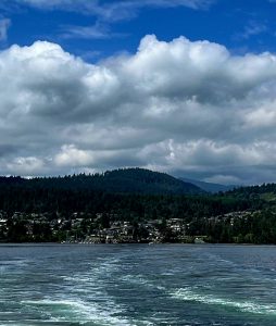Photo from a ferry, one of Vancouver Island's most necessary forms of travel.