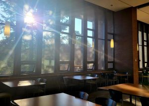 A quiet corner of the Diana M. Priestly Law Library at UVic