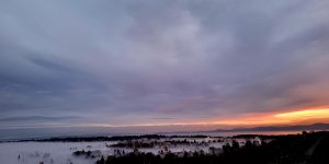 A beautiful foggy sunrise from Mt. Tolmie.