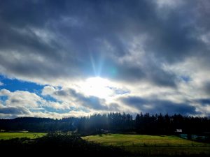 A beautiful winter morning on Vancouver Island.