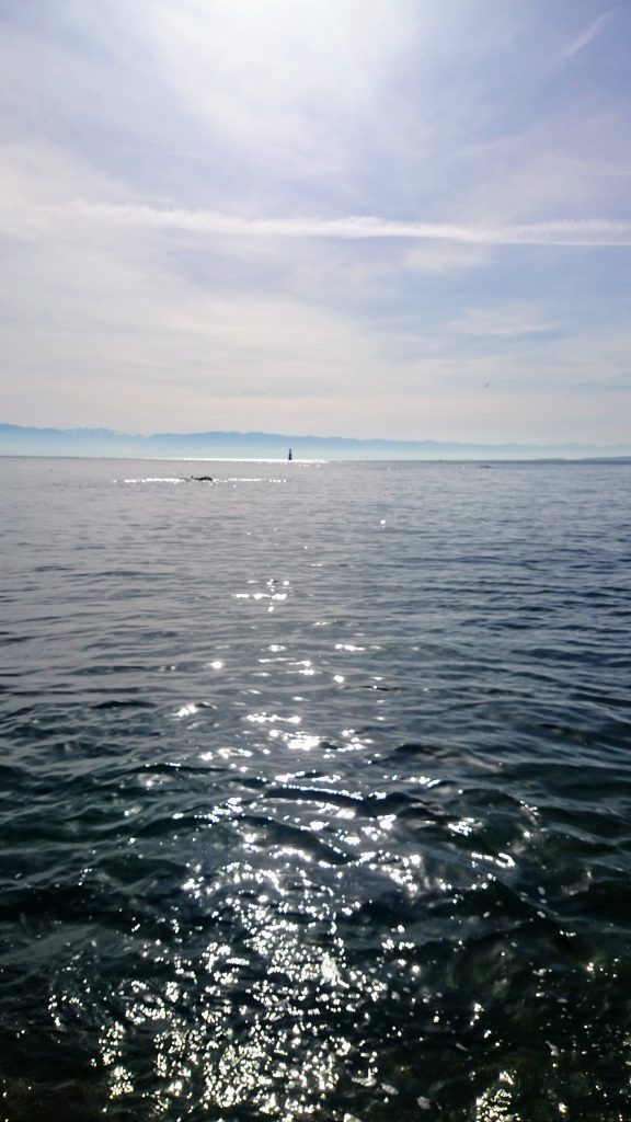 The photo shows the open ocean on a sunny day, with a buoy and mountains in the background.