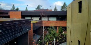 The photo shows a pathway between the existing Fraser Building and the new Indigenous Law wing. The window the photo was taken through has polka dots on it to keep birds from flying into the glass.