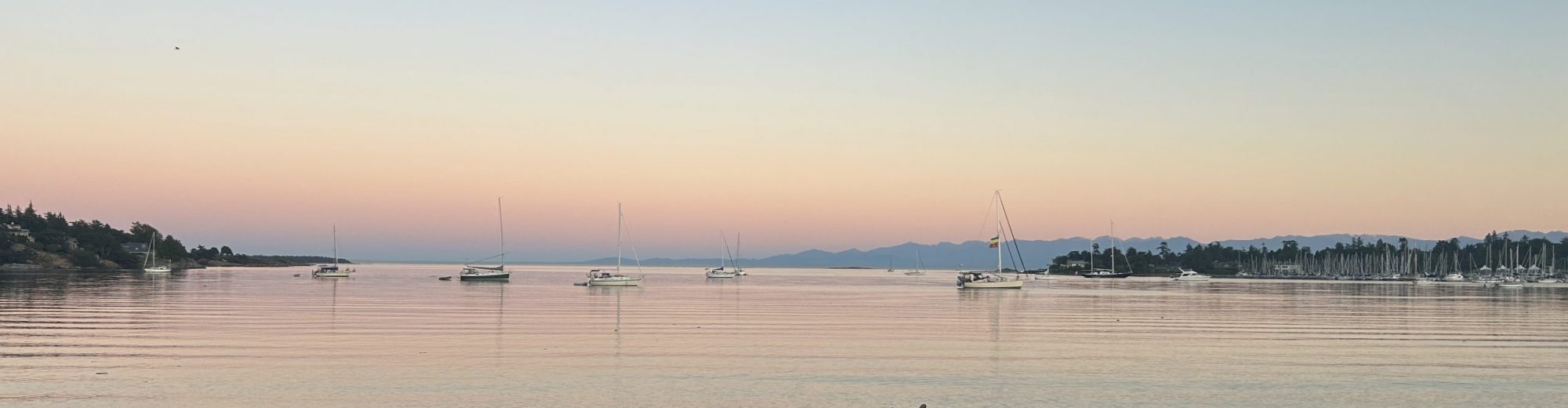 EDCI 338 – Melissa Liao