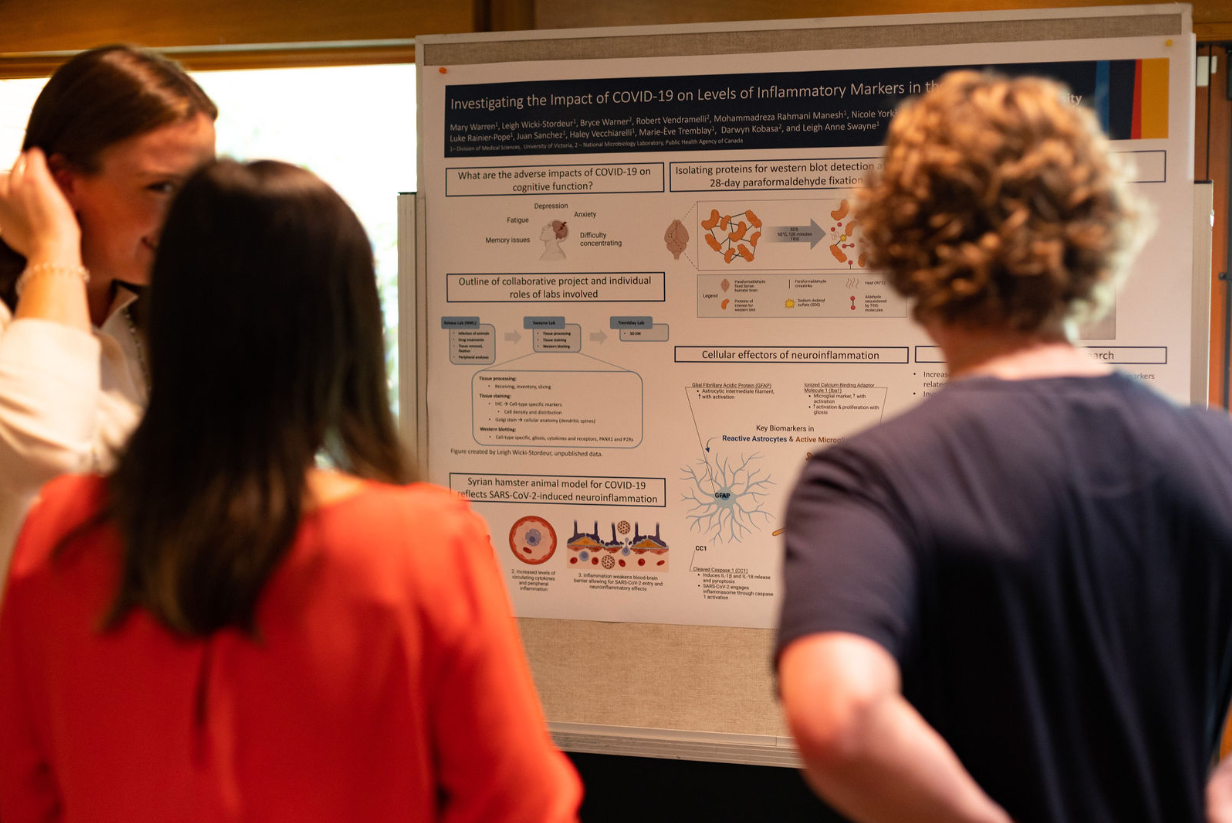 Three students face away from the camera, looking at a research board. 