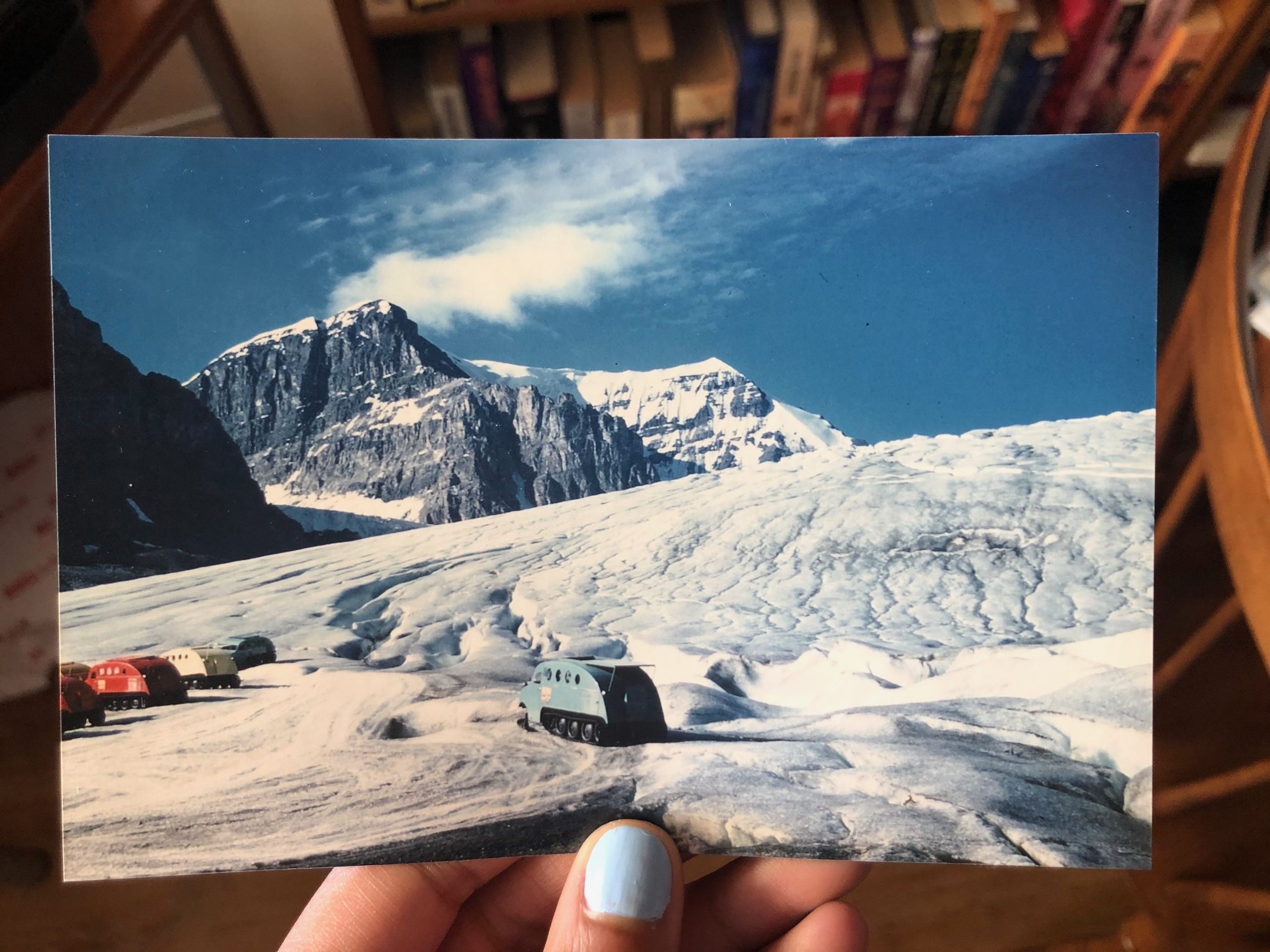 Glacial busses taking tourists onto Athabasca Glacier in 1958.