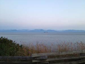 Top 5 walks/hikes in the Victoria area – MyUVic Life