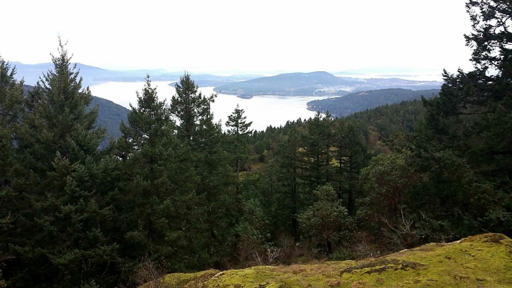 Jocelyn Peak viewpoint.