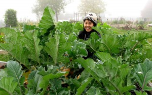 Photo courtesy of UVic Community Garden.