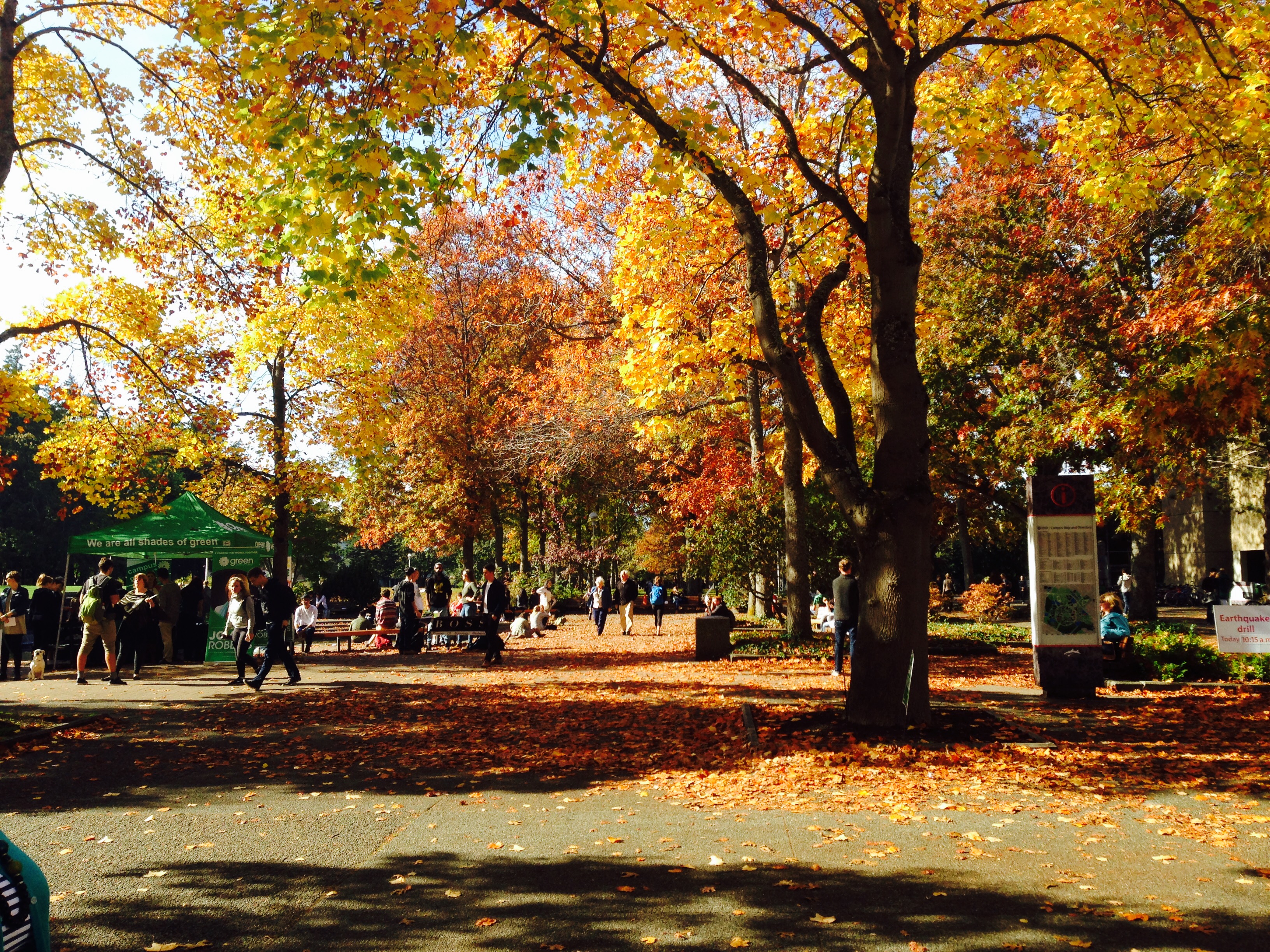 Photos of UVic in the Fall MyUVic Life