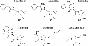 Penicillin structures