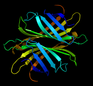 Streptavidin