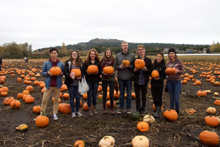 Galey Farms vs. Vancouver Island Corn Maze MyUVic Life