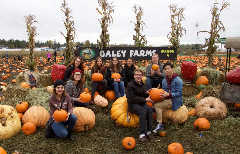 Galey Farms 