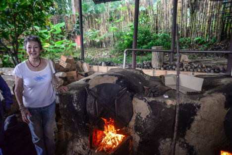 Sustainable Agriculture in a (Coco)nutshell | MyUVic Life