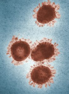 coronavirus magnified