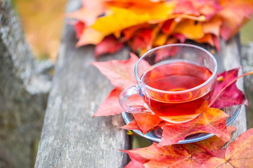 Autumn red tea. Cup of tea with autumn leaves on wooden board.