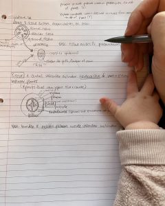 A baby's hand touches an adult's hand over study notes
