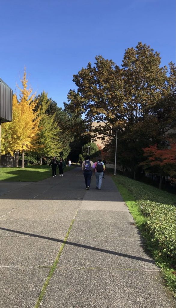 students walk down a tree lined path