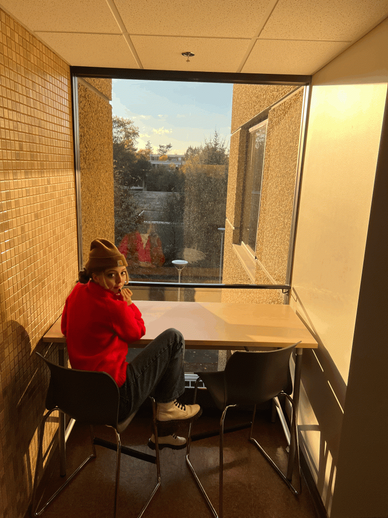 student at desk in window