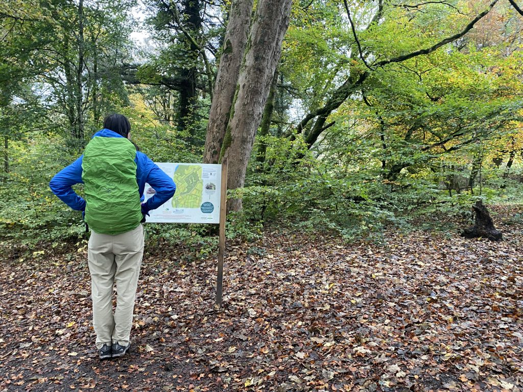Person looking at sign map