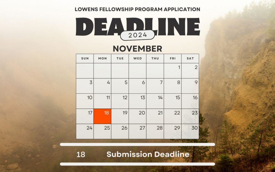 2025 Lowens – Libraries Fellowship Deadline Approaches