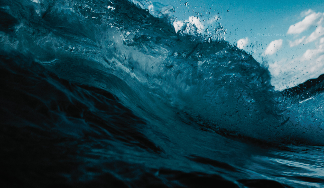 Turning the Tide: Harnessing Wave Energy for a Sustainable Future