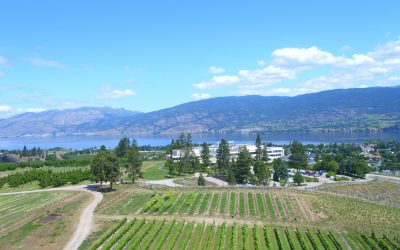 Agriculture in BC: Growing Food, Exports, and Careers