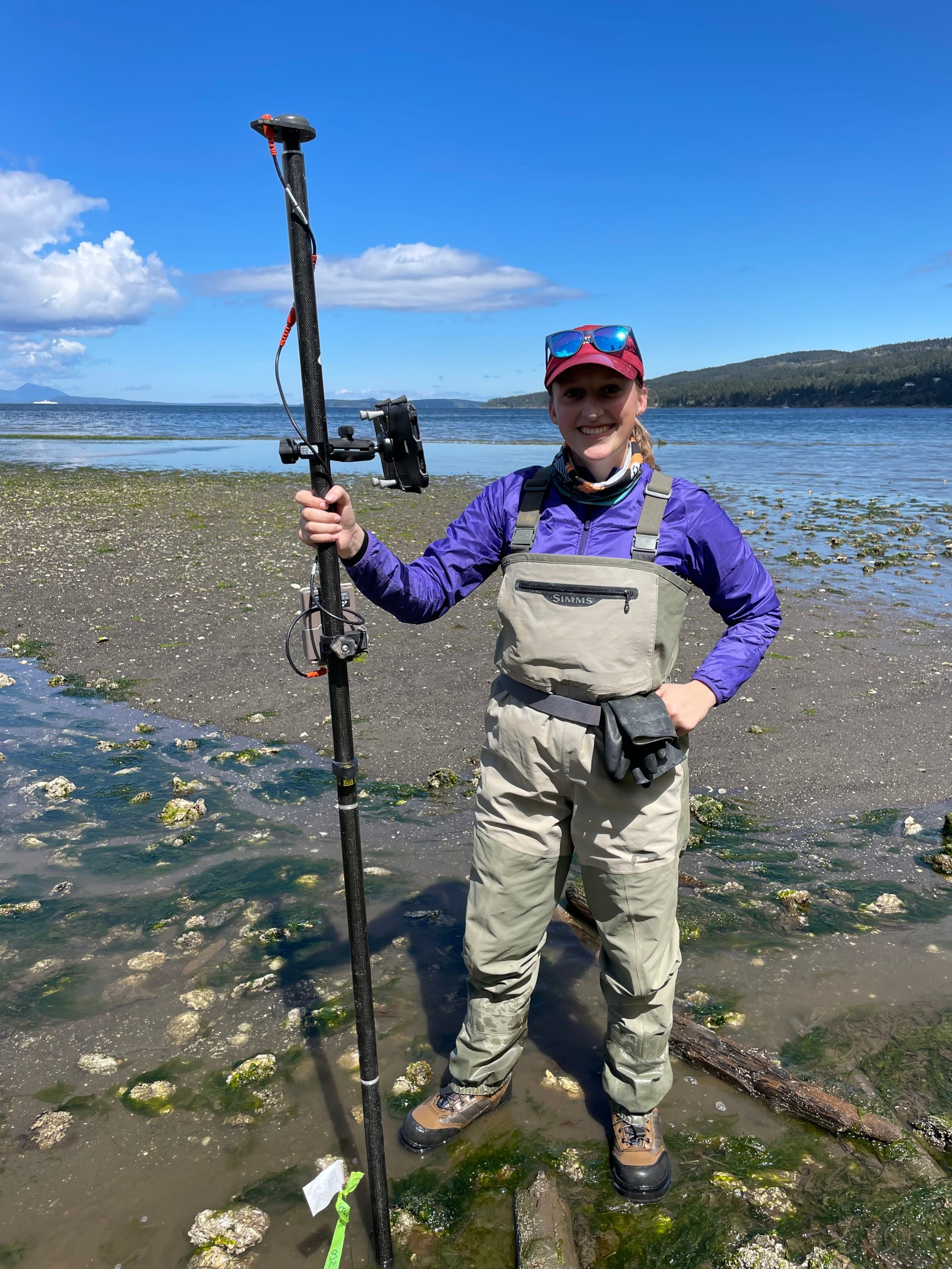 student in hip waders conducting green crab survey