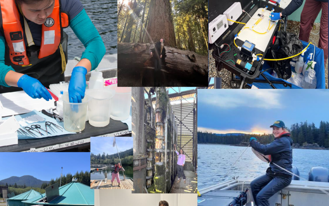 What employers have to say