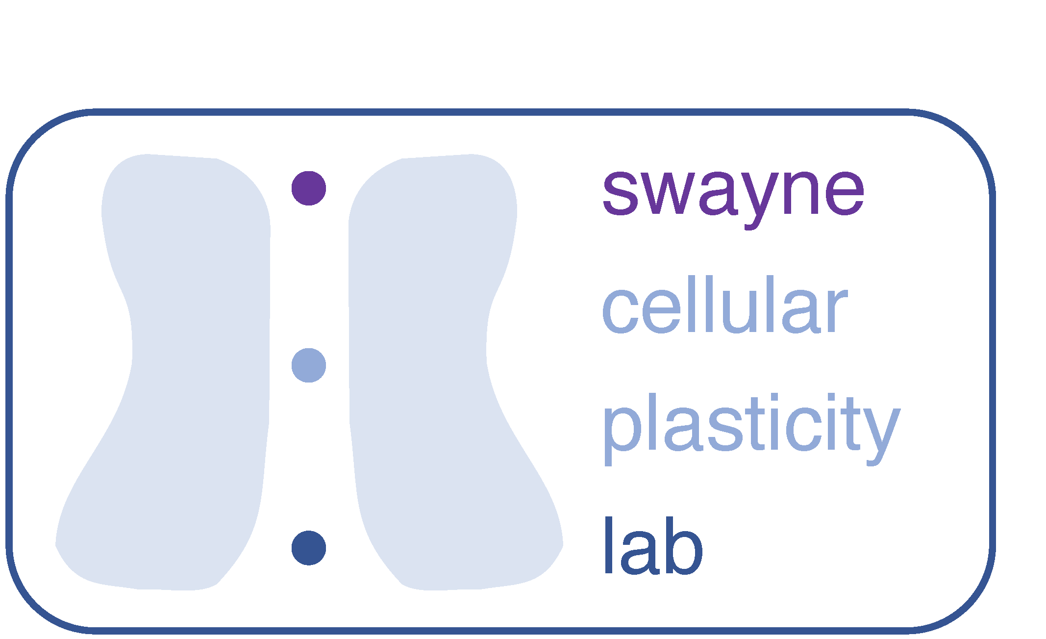 swayne lab