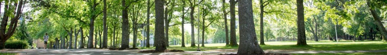 University of Victoria quad in the spring summer with lush green trees